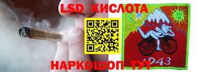 гашик Ноябрьск