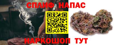 гашик Ноябрьск