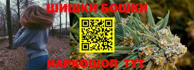 гашик Ноябрьск