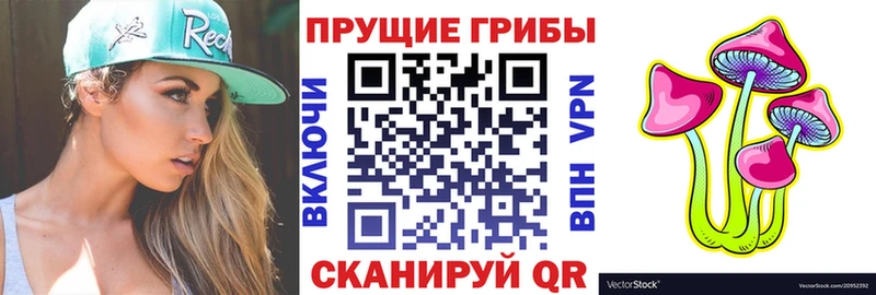 Галлюциногенные грибы GOLDEN TEACHER  Абинск 