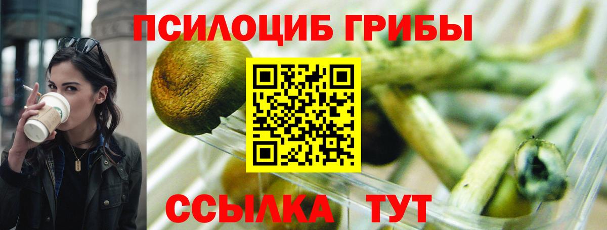 Галлюциногенные грибы GOLDEN TEACHER  Вход с VPN  даркнет сайт  Абинск 