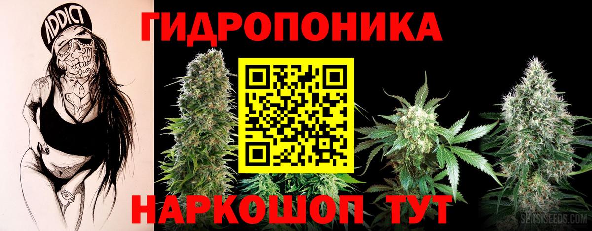 Каннабис сатива  Каннабис гибрид  Абинск  Шишки марихуана тримм  Вход с VPN 